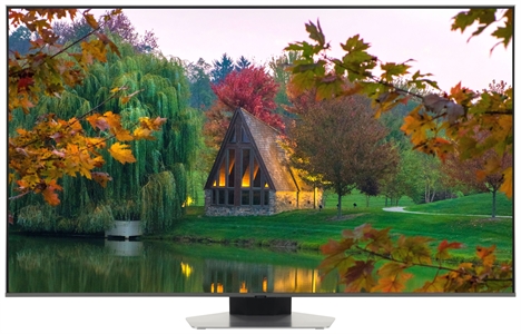 SAMSUNG QE55Q80D