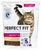 PERFECT FIT Adult 1+ rico em frango