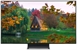 SAMSUNG 55S90D
