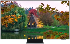 SAMSUNG TQ65S95F