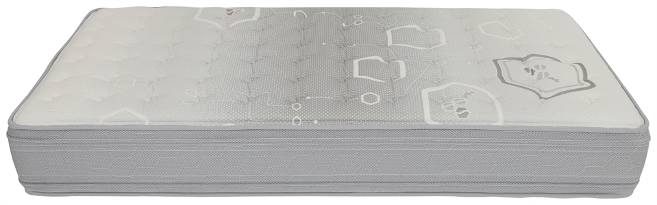 MOLAFLEX WBX BODY